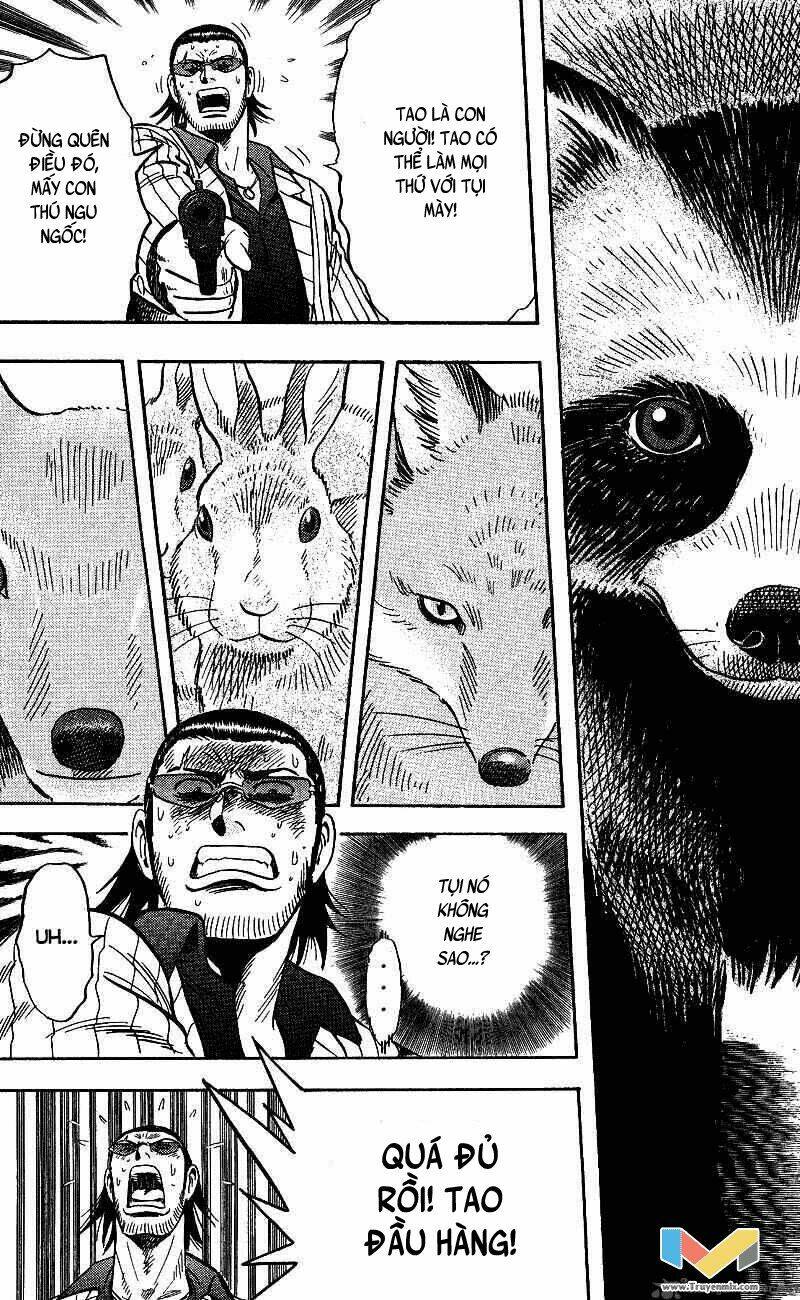 animal sense chapter 13 32