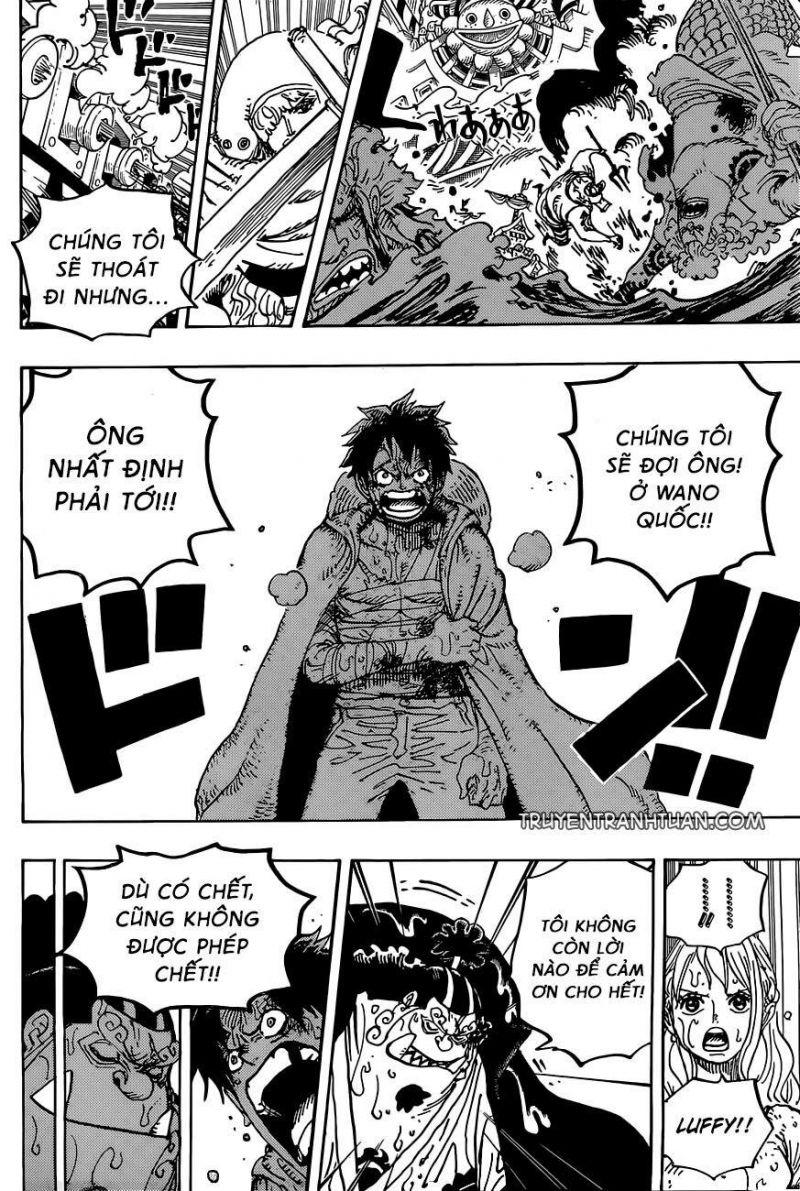 đảo hải tặc - one piece chapter 901 13