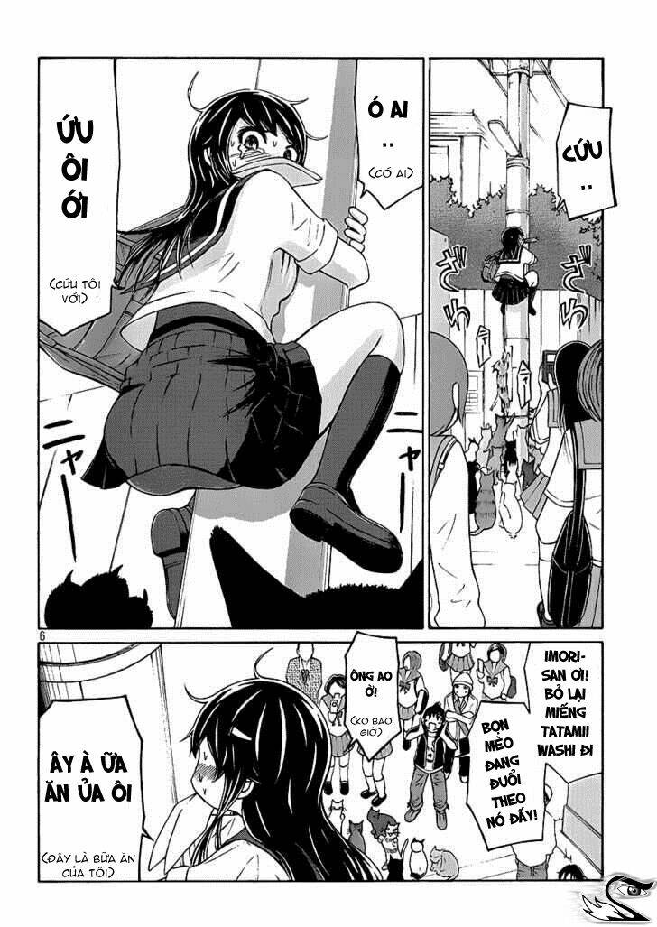 imori 201 chapter 4 6