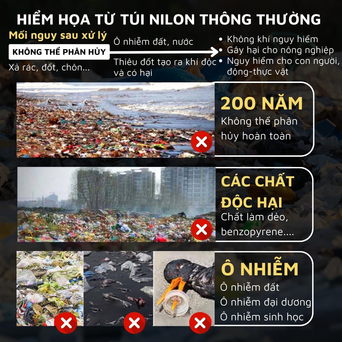 Túi rác tự phân hủy sinh học DandiHome có dây rút