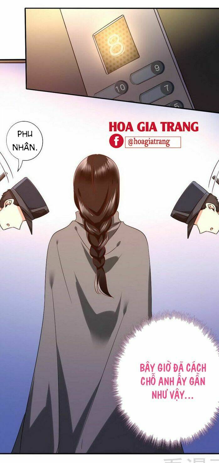 phục thù thiếu gia tiểu điềm thê chapter 73 23