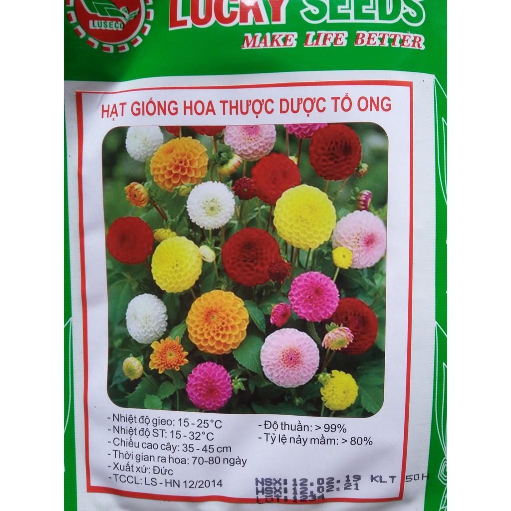 Hạt giống thược dược tổ ong