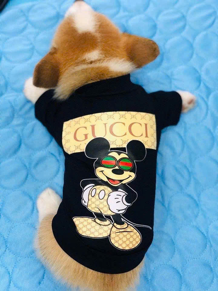 ÁO CUTE COOL NGẦU TỪ 1-20KG DÀNH CHO THÚ CƯNG CHÓ MÈO