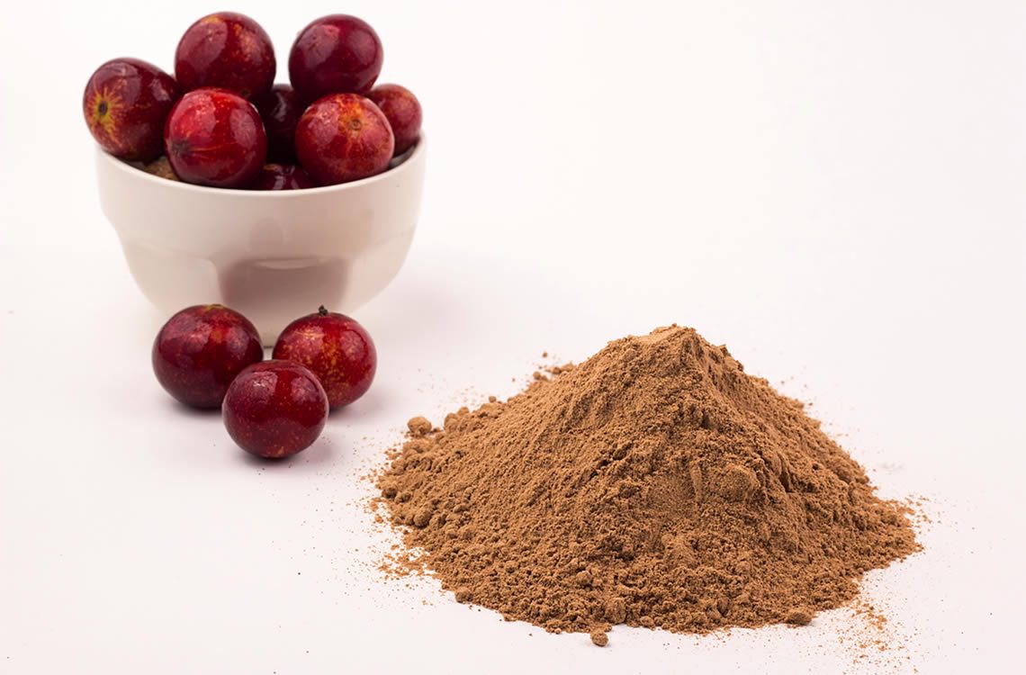 Camu Camu Hữu Cơ 100g Diet Food