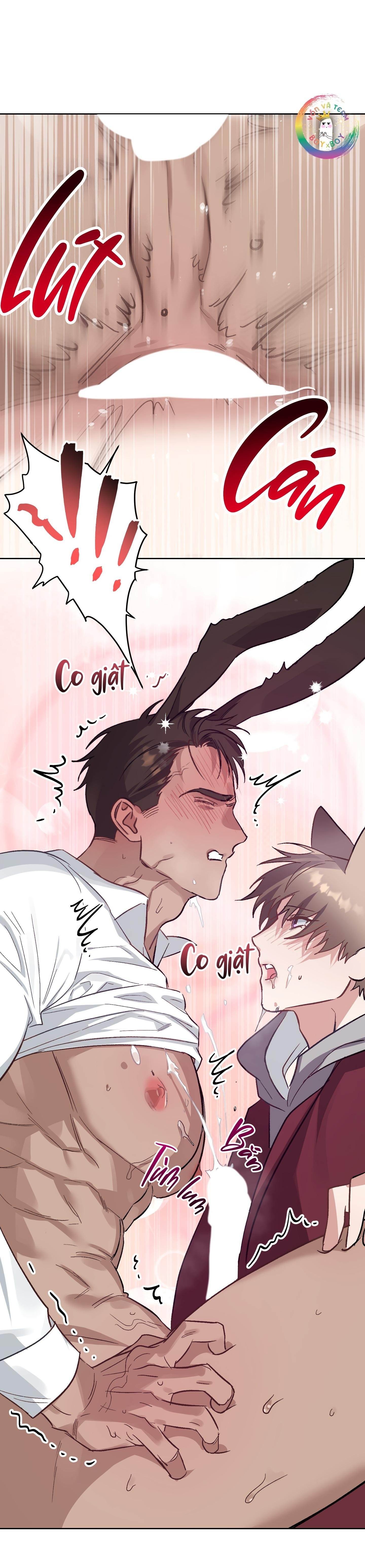 thỏ xuất tinh trong vòng 3 giây chapter 11 35