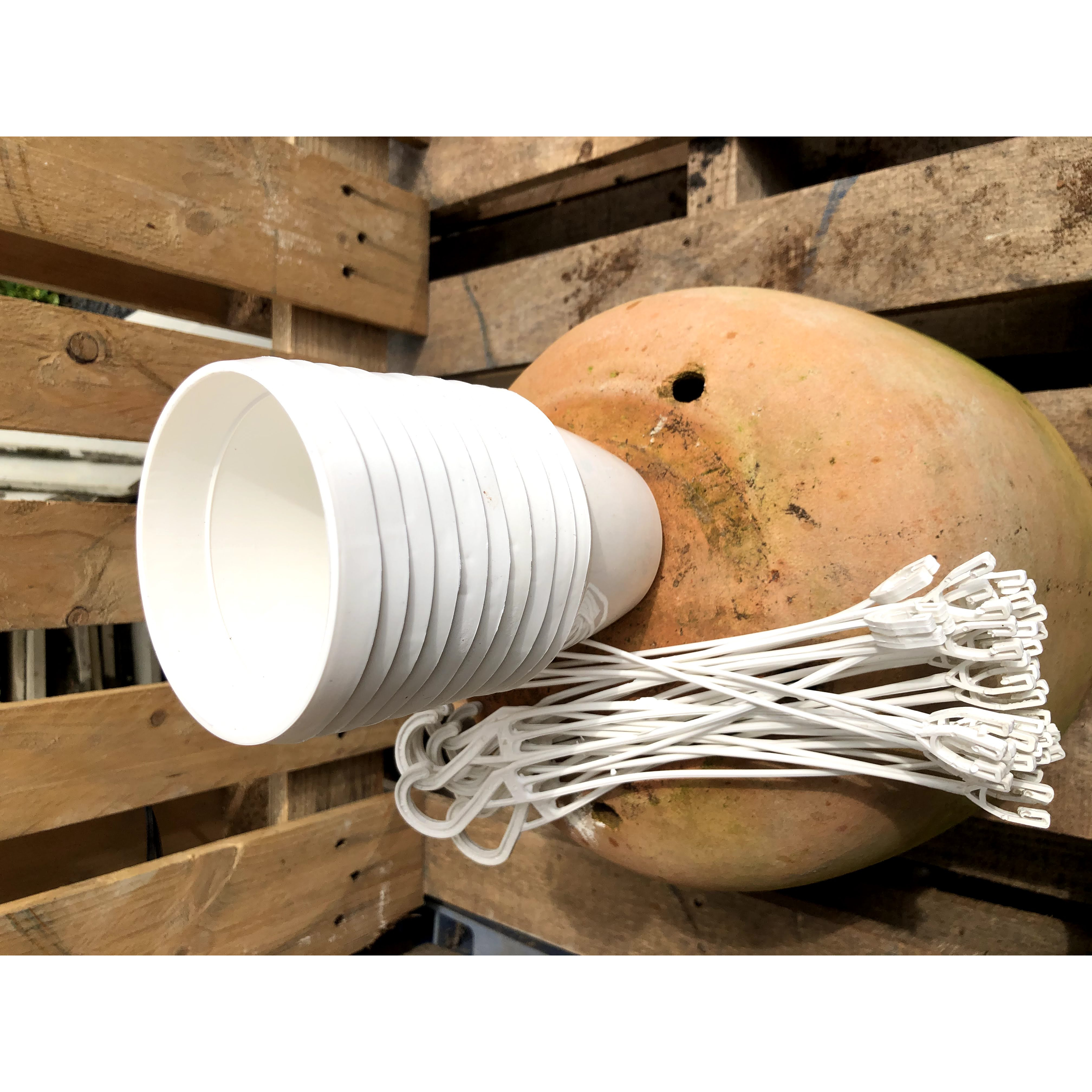 Bộ 10 chậu treo trồng cây fi 10 cm x 8,5cm