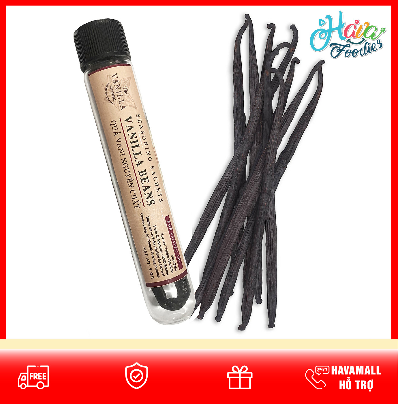 Quả Vani Khô Thượng Hạng 15 cm Lọ Thủy Tinh 5gr - Vanilla Beans