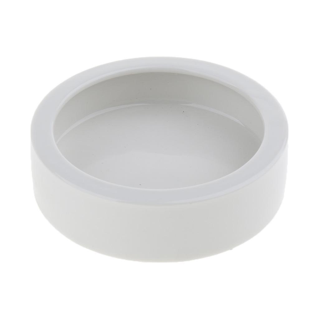 2 Pcs Reptile Feeder Ceramics Food Bowl Anti-escape Dish for Medium
