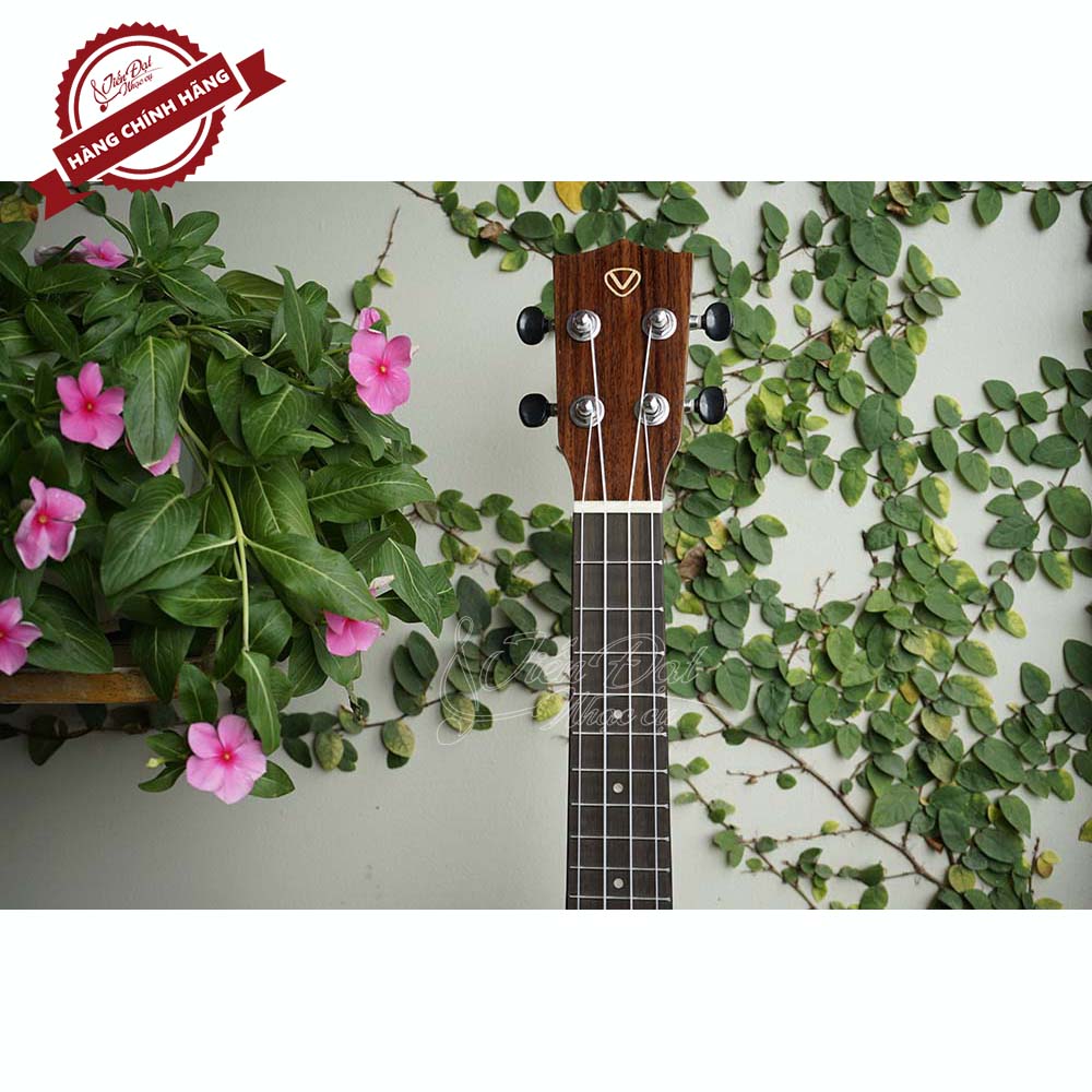 Đàn Ukulele Valote Dòng Concert VA 24M02, 24R01 Cao Cấp Tông Nhạc Dày Âm Thanh Trong Trẻo