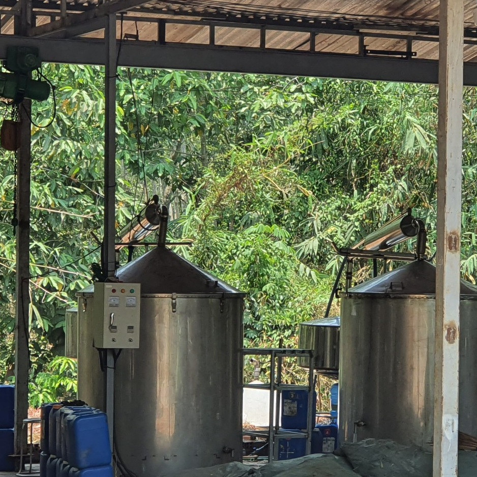 Tinh dầu Bạch Đàn Chanh 50ml Mộc Mây - tinh dầu thiên nhiên nguyên chất 100% - chất lượng và mùi hương vượt trội - Có kiểm định