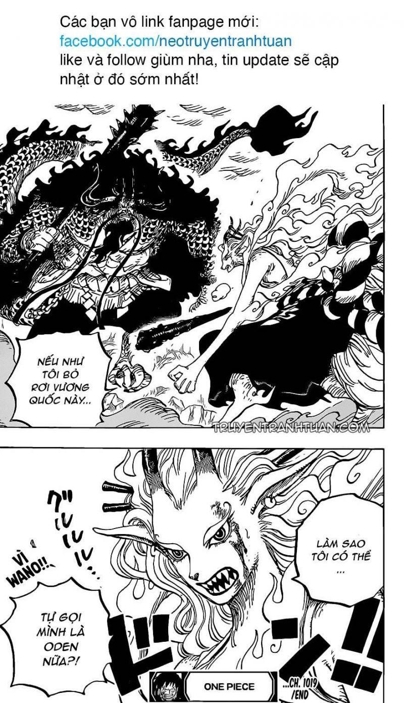 đảo hải tặc - one piece chapter 1019 18