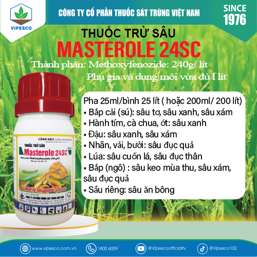 MASTEROLE 24SC-100CC PET - ĐẶC TRỊ SÂU