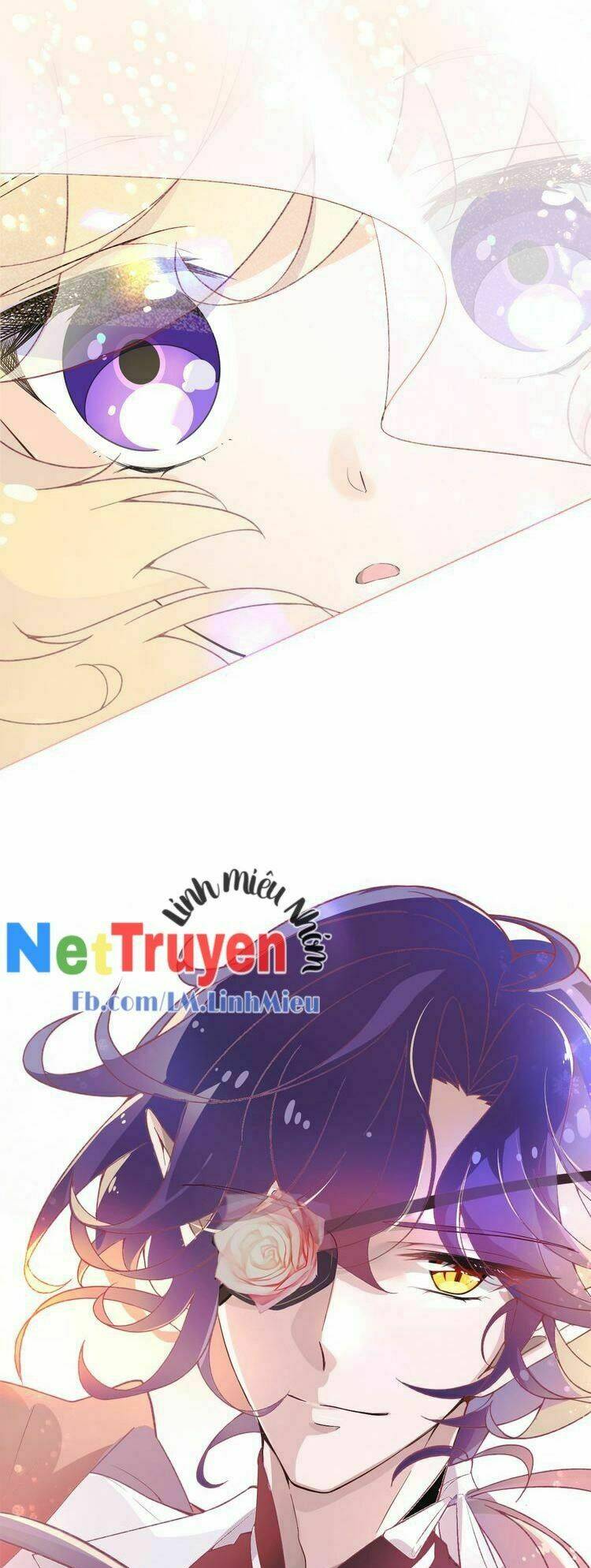 thuần bạch vận mệnh chi luân chapter 1 40