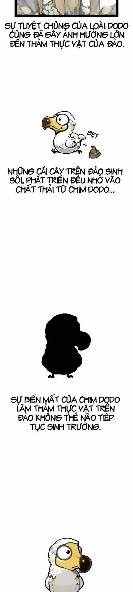 earth, human, and animal chapter 5 13