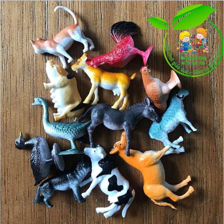 Mô hình 12 động vật nuôi kèm thẻ ảnh