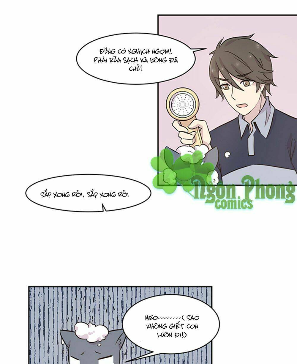 hai chú mèo totem chapter 17 16