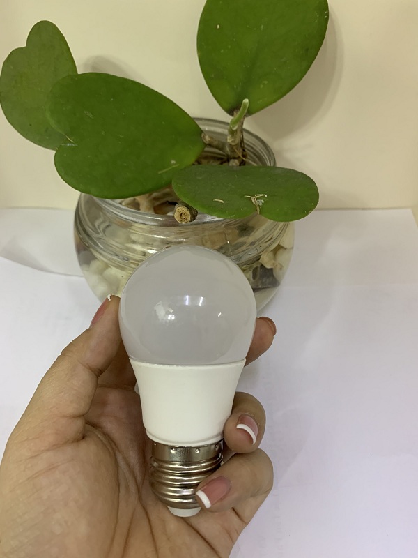 Bóng Bulb nấm - RB LIGHTING