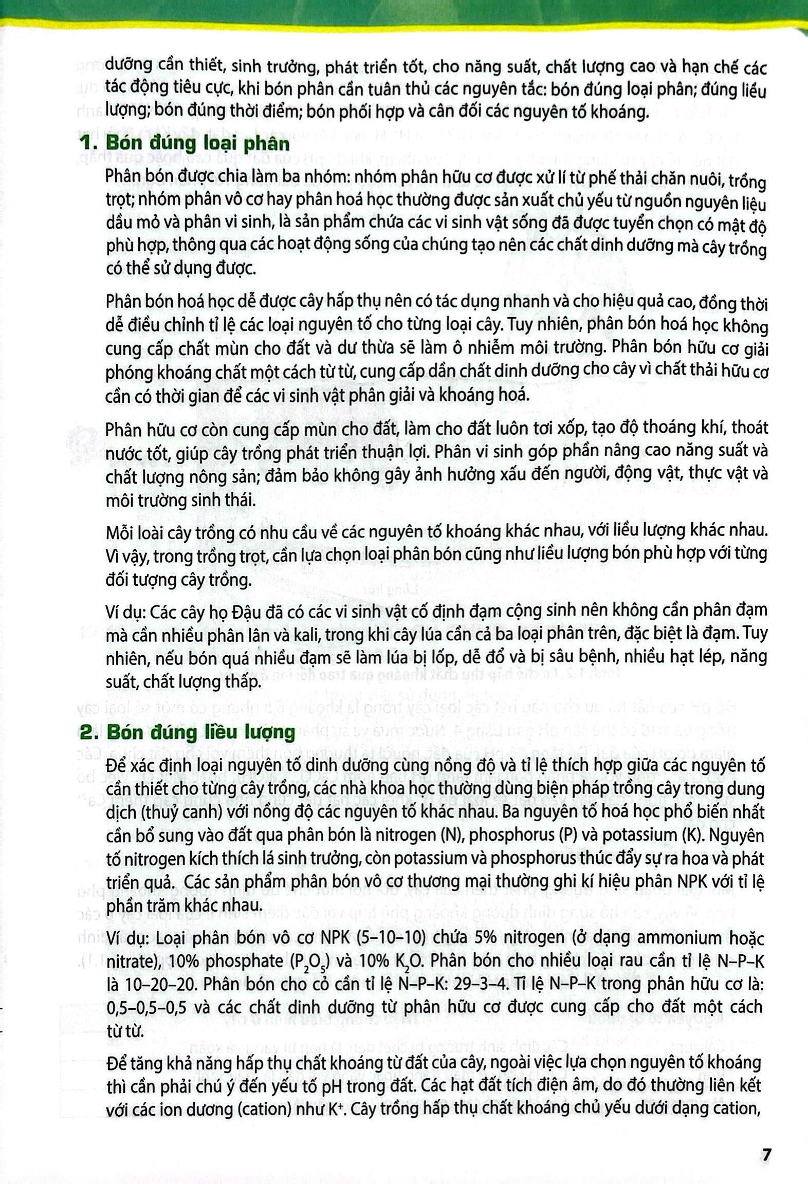 Sách Giáo Khoa Chuyên Đề Học Tập Sinh Học 11 (Kết Nối) (Chuẩn)