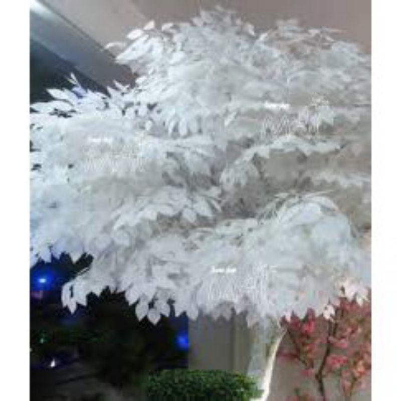 Combo 10 Cành lá si trắng làm cây giả - Lá giả