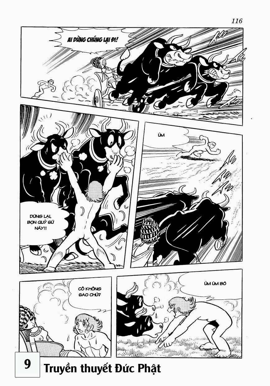 buddha - truyền thuyết đức phật chapter 41 18