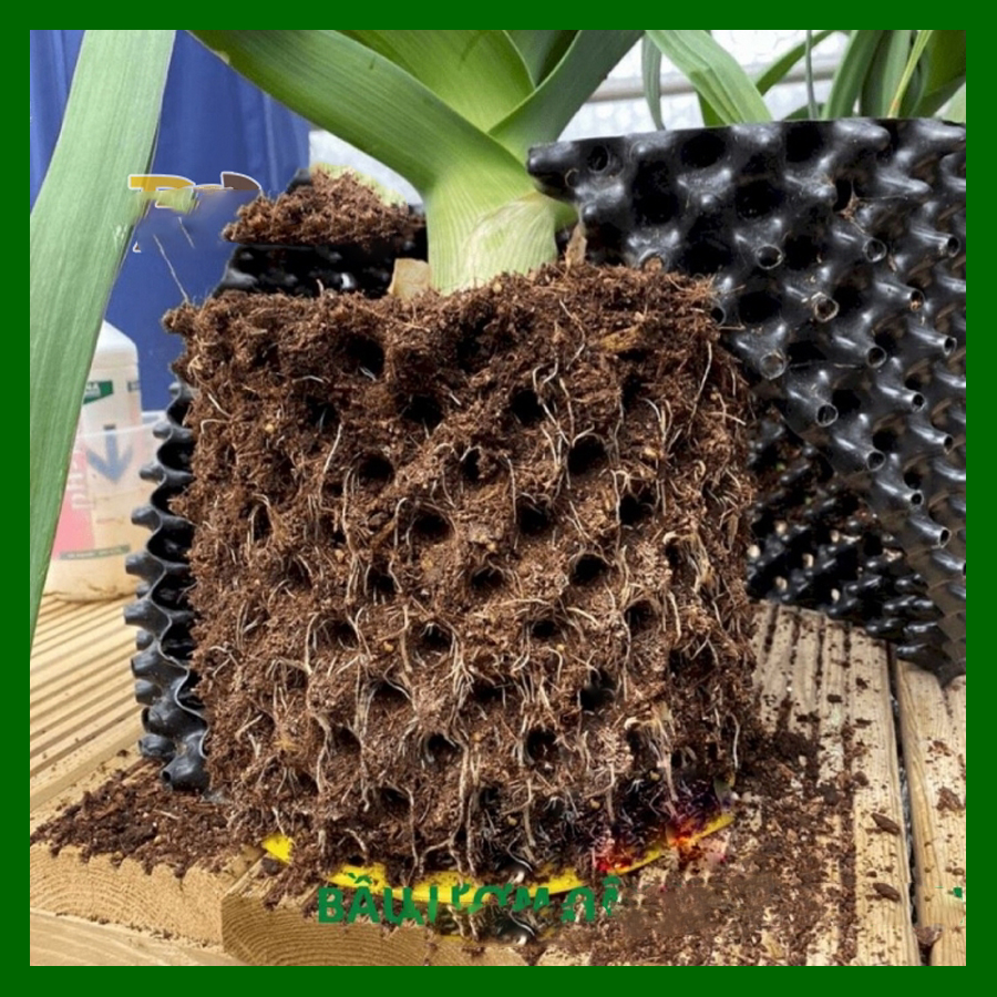 50 MÉT Bầu ươm cây V6 CAO 70CM dày 6mm, cắt theo mét dài khách đặt, tặng ốc vít-77904