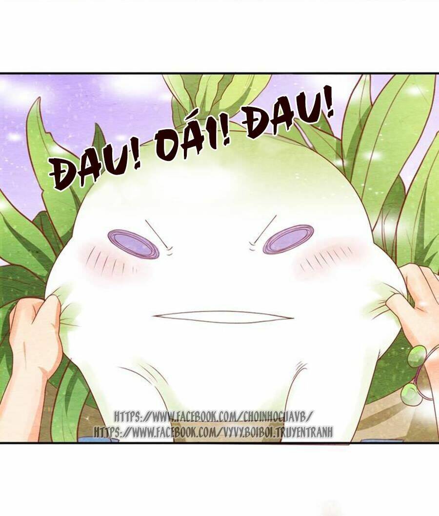 nhân hoa duyên chi sư phụ đại nhân cầu sủng ái chapter 5 34