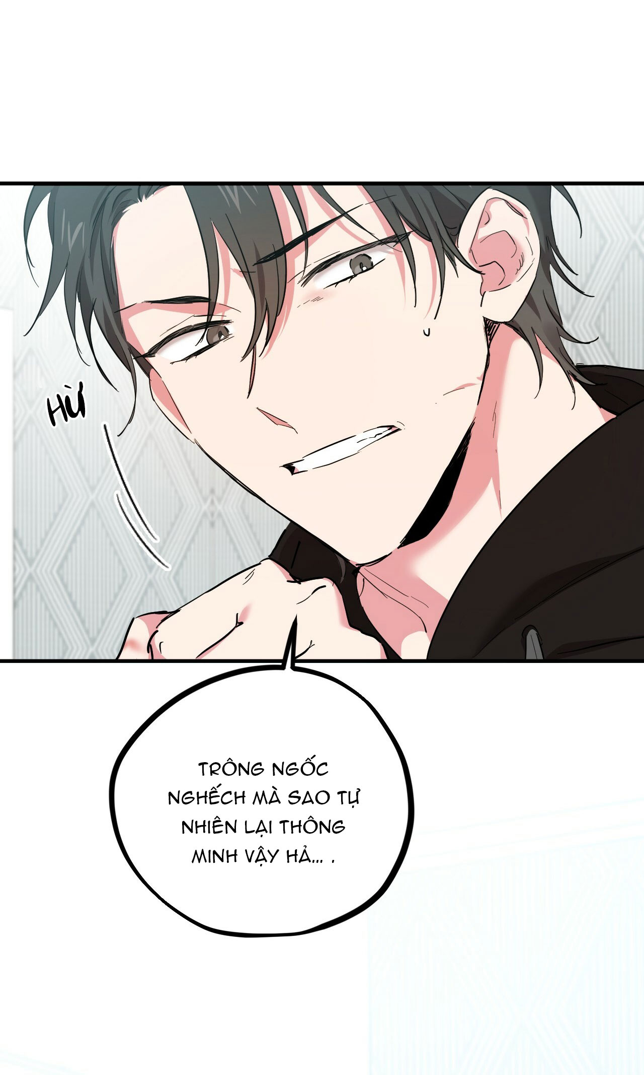 những chú thỏ của hapypy chapter 5 13