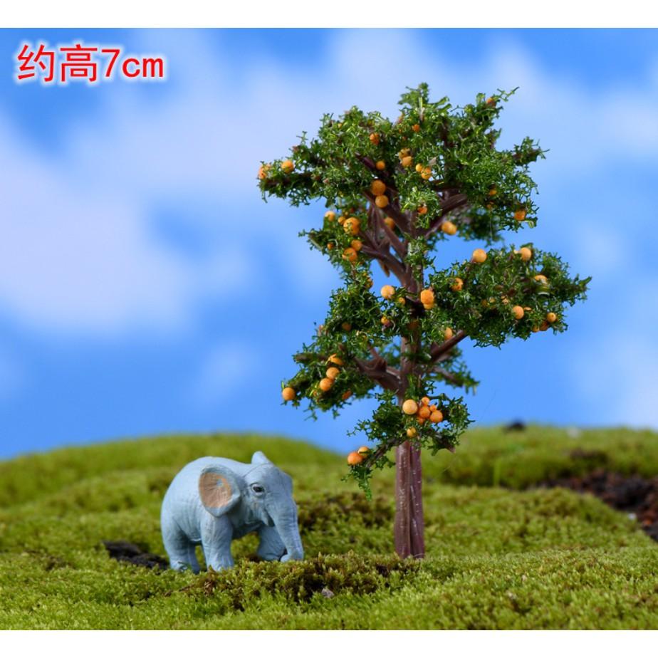 Mô hình cây cam vàng để trang trí tiểu cảnh, bonsai, DIY