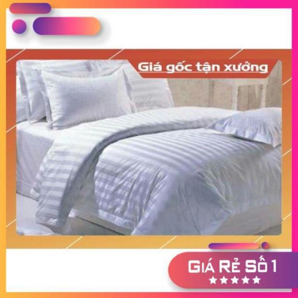 Bộ Drap Cotton Trắng sọc 3 phân đủ kích thước 2tấc
