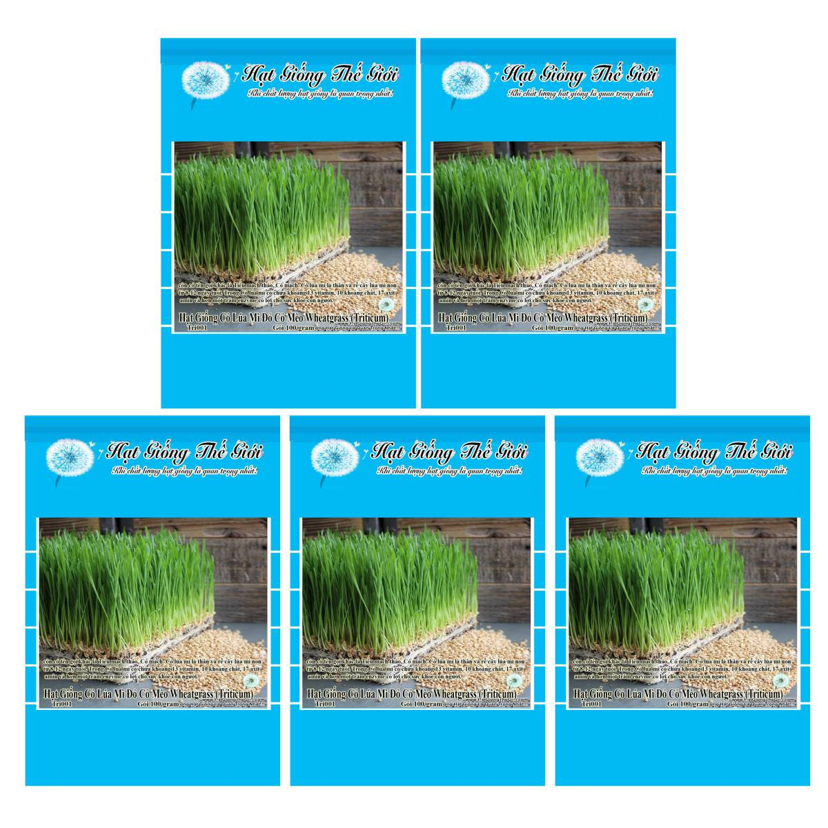 Bộ 5 Gói Hạt Giống Cỏ Lúa Mì Đỏ Cỏ Mèo Wheatgrass (Triticum aestivum) 100g