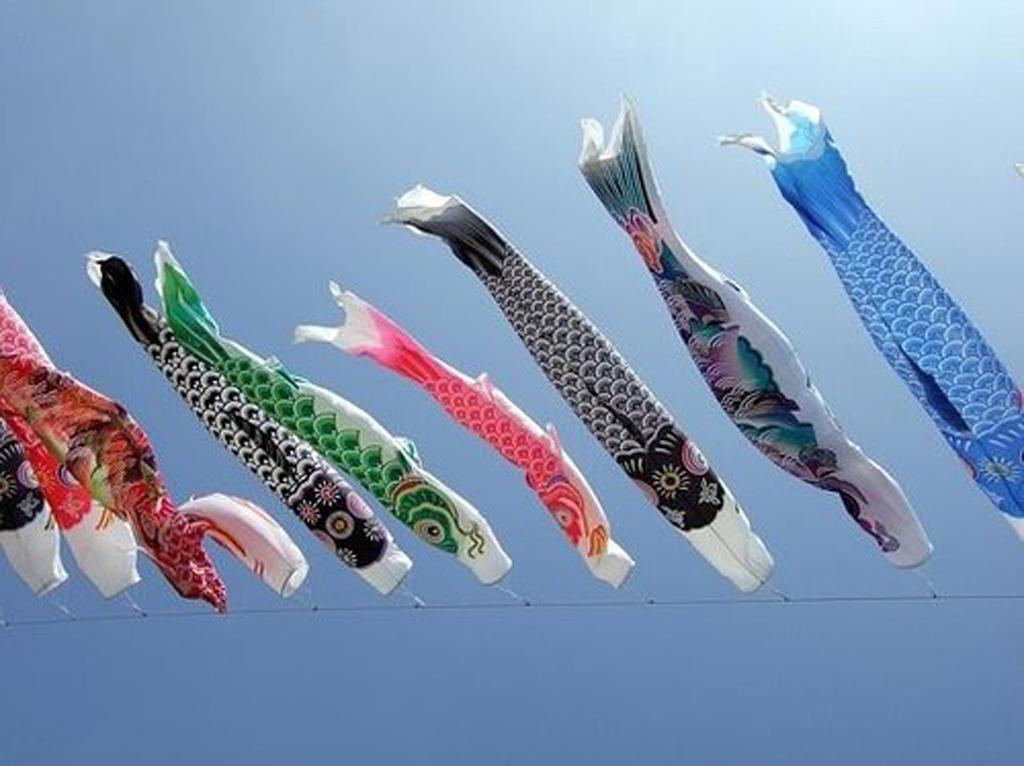 3X 55-150cm Various Japanese Windsock Carp Flag Koi Nobori Sailfish 70cm Blue