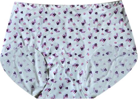 Combo 05 Quần Lót Nữ Su Baby Dễ Thương, Thoáng Mát Ql2005 - Màu Ngẫu Nhiên