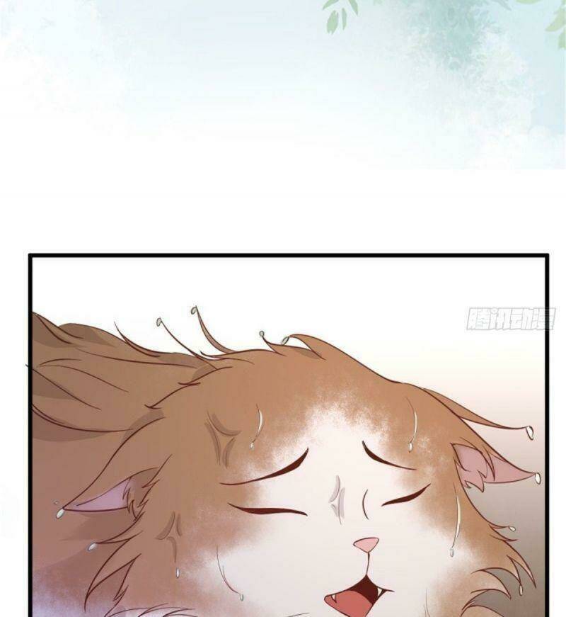 sát thủ vương phi không dễ chọc chapter 30 43