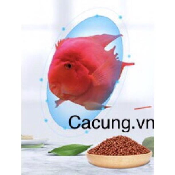 Thức ăn Hồng Két siêu lên màu hiệu YEE (280g)