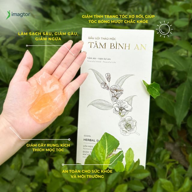 Dầu Gội Tâm Bình An giữ tron tinh túy từ các nguyên liệu thiên, cung cấp dưỡng chất từ dược liệu quý Trà Hoa Vàng - 500ml
