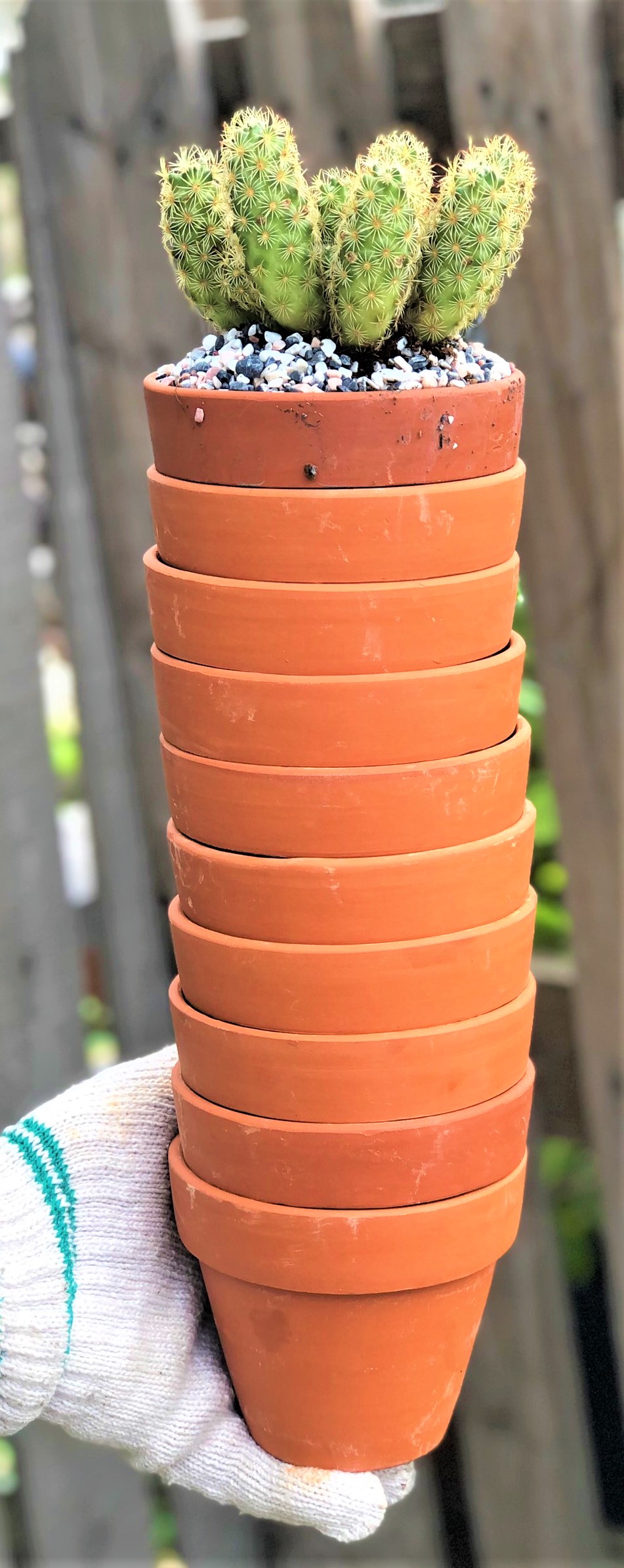 Bộ 10 chậu đất nung trồng xương rồng sen đá Rộng 11 cm x Cao 9,5 cm