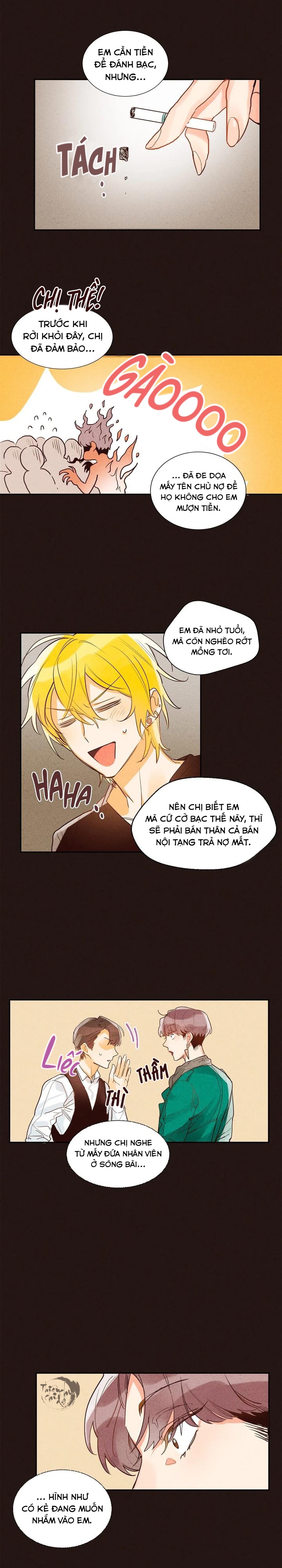 pheromone shower (chim nhại) chapter 6 12