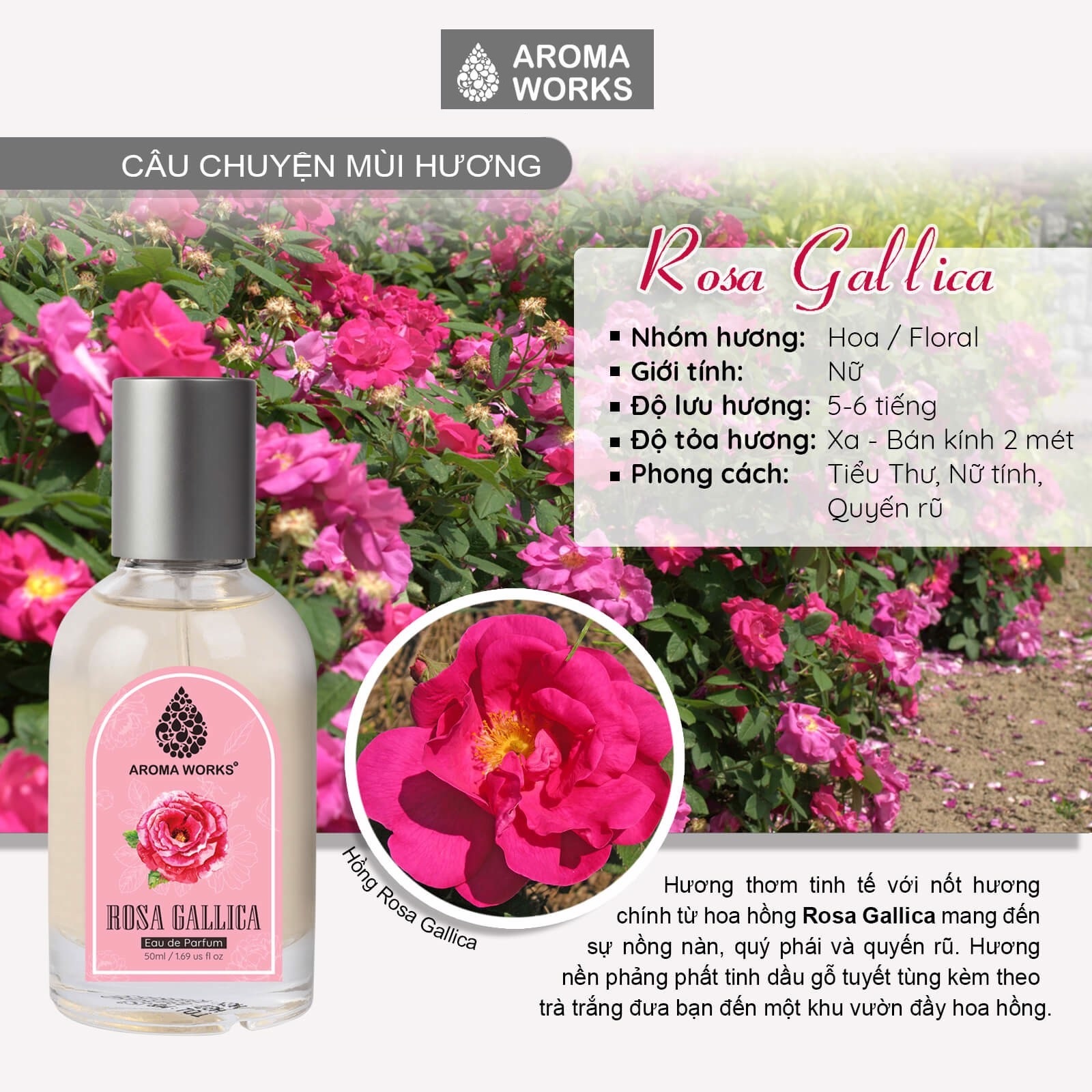 Nước hoa tinh dầu lưu hương lâu Aroma Works Rosa Gallica Eau De Parfum