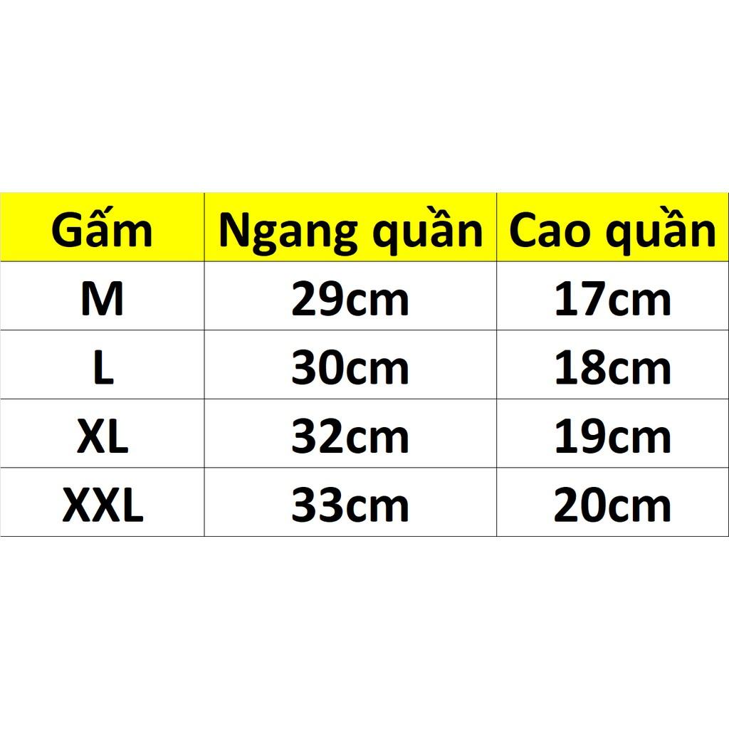 COMBO 10 QUẦN LÓT NỮ GẤM HOA CAO CẤP LADY 500
