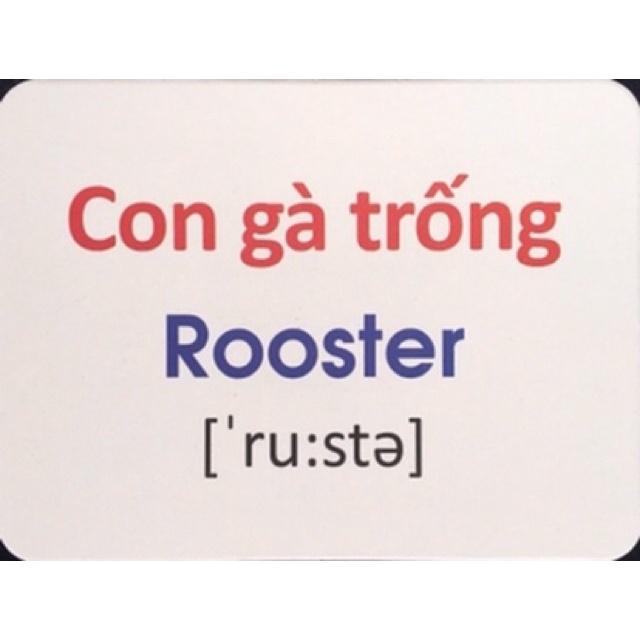 Thẻ học thông minh song ngữ bibo - đồ chơi thông minh flashcard anh việt chủ đề động vật nuôi