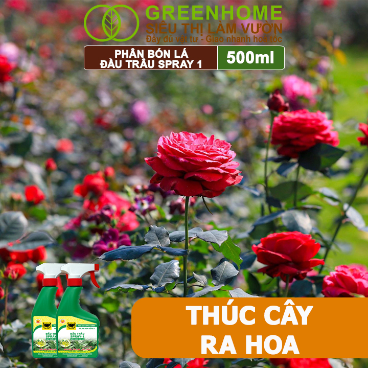 Phân Bón Lá Đầu Trâu Spray-1 Greenhome, Bình Điền, Chai 500ml, Nảy Chồi Ra Lá, Chuyên Lan Và Hoa Kiểng