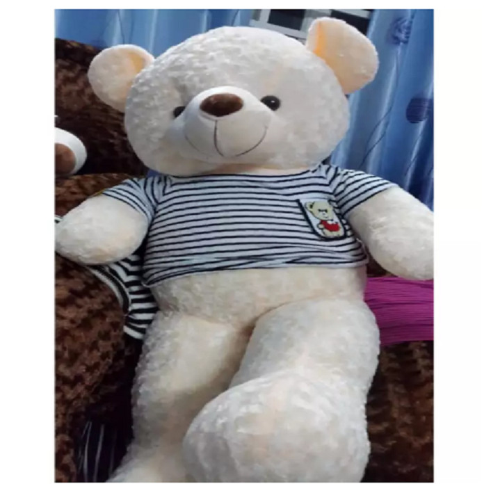 thú bông teddy 40cm đến 100cm