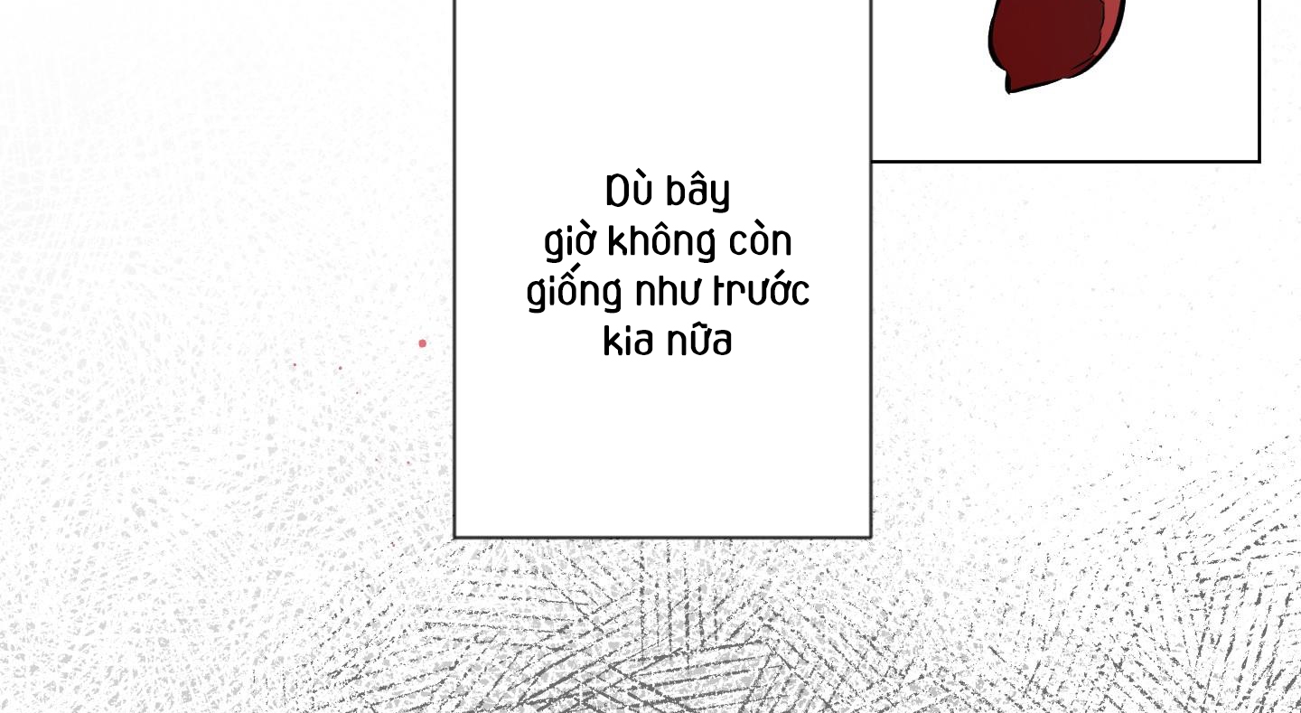 định rõ mối quan hệ chapter 50 123