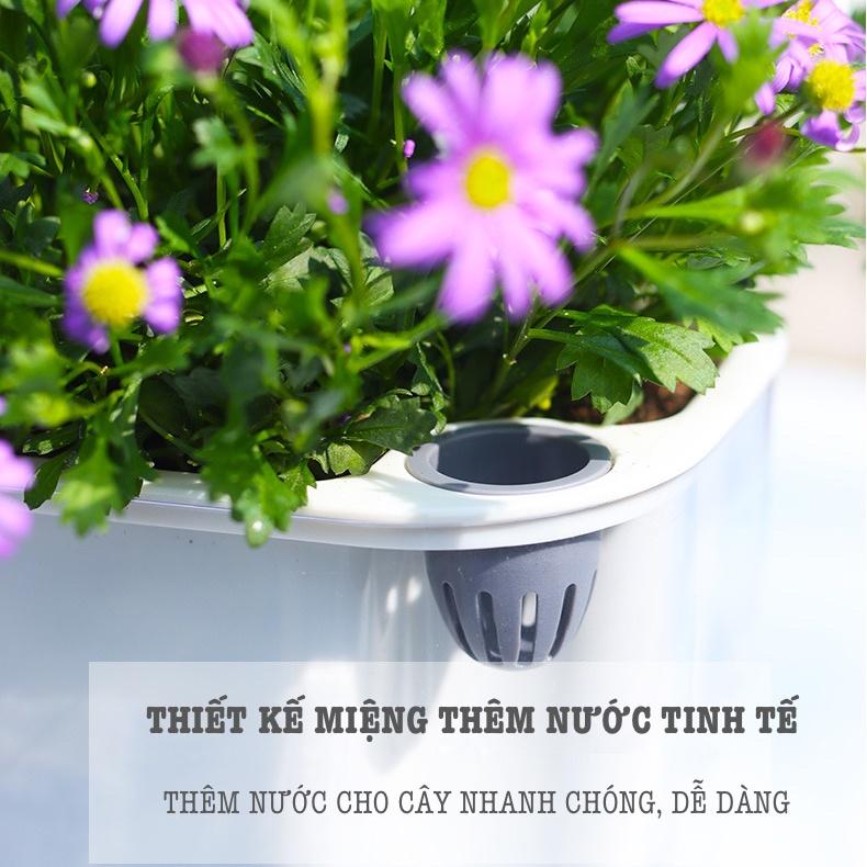 Chậu cây để bàn Oliz Gerta 211. Chậu trồng cây có chức năng tự tưới màu trắng trong