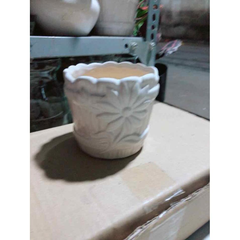 Chậu Trồng Cây Bán Chạy