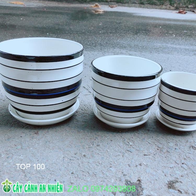 Bộ 3 Chậu Sứ Trồng Cây Hàng Cao Cấp