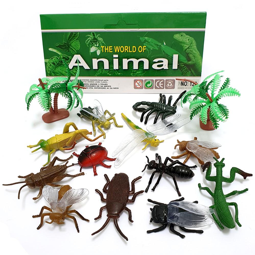 Bộ 36 đồ chơi mô hình Côn Trùng, Bọ Cánh Cứng, Nhện Animal World thế giới động vật cho bé trên 3 tuổi chất liệu nhựa dẻo Vacimall