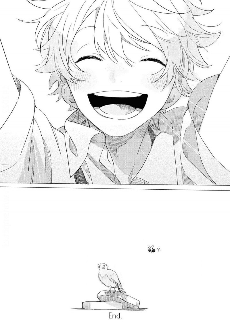 đất nước của những chú sư tử chapter 5 36