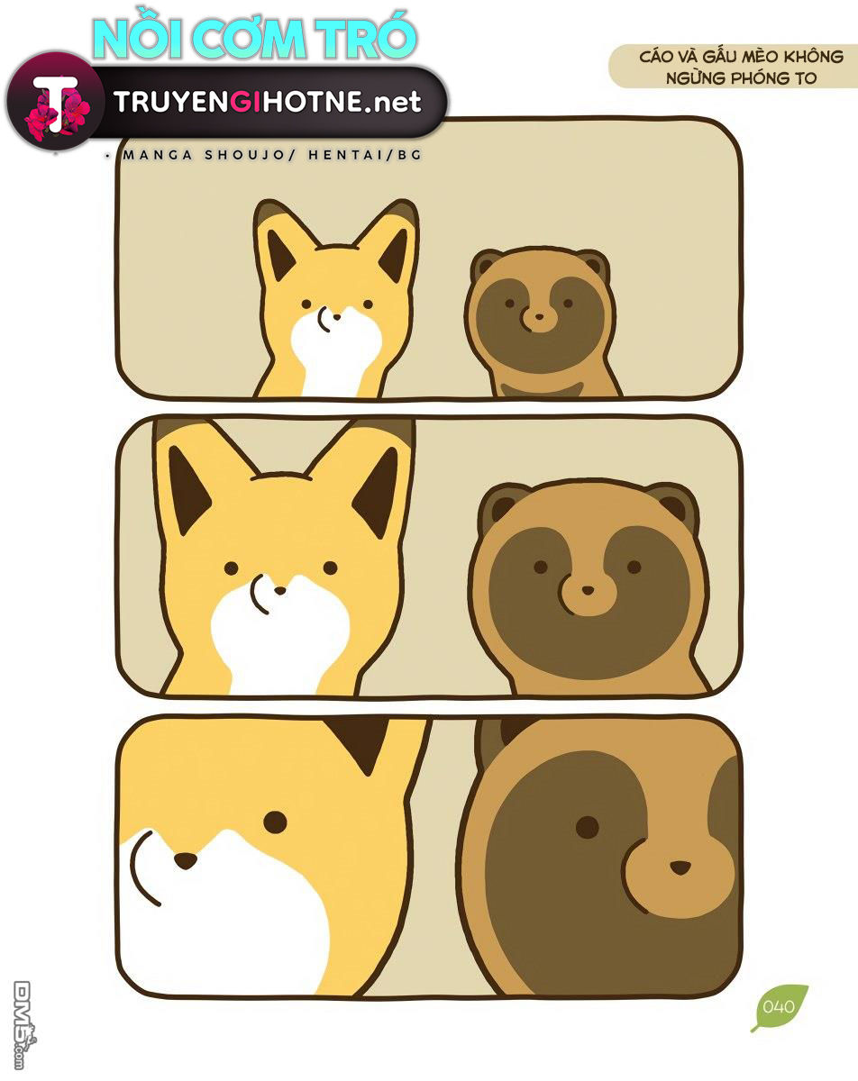 cáo và gấu mèo chapter 10 17
