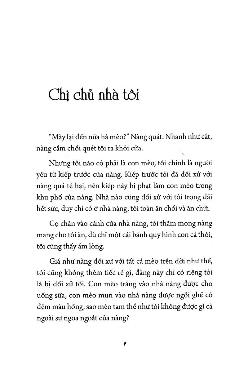 Đồng Khuya Thương Nắng